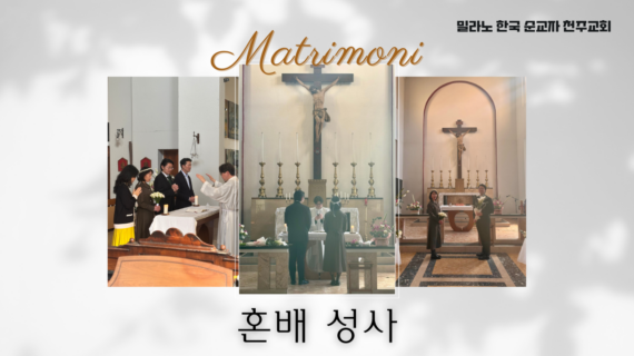 2026년 혼배성사 (Matrimonio)